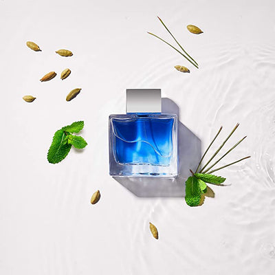 Antonio Banderas Blue Seduction 100ml EDT Spray - The Perfume Outlet