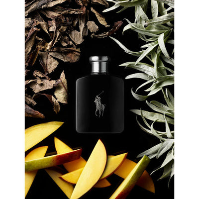 Ralph Lauren - Polo Black Eau De Toilette Spray - The Perfume Outlet